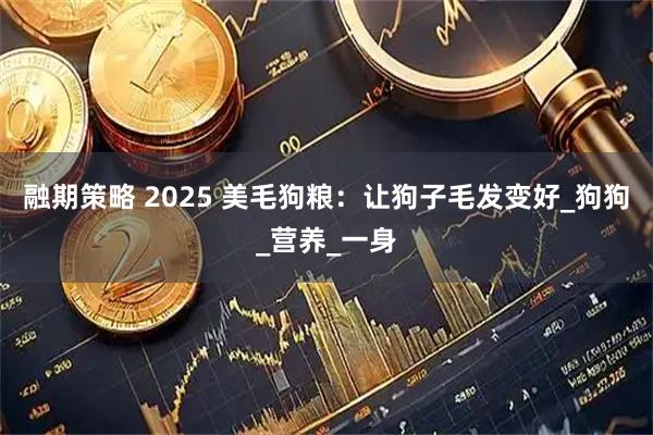 融期策略 2025 美毛狗粮：让狗子毛发变好_狗狗_营养_一身